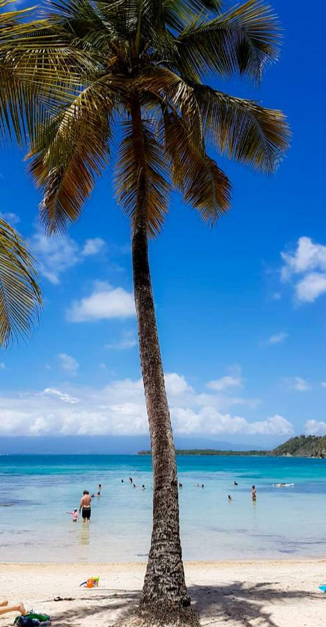 Blue Paradise لو جوسيير المظهر الخارجي الصورة