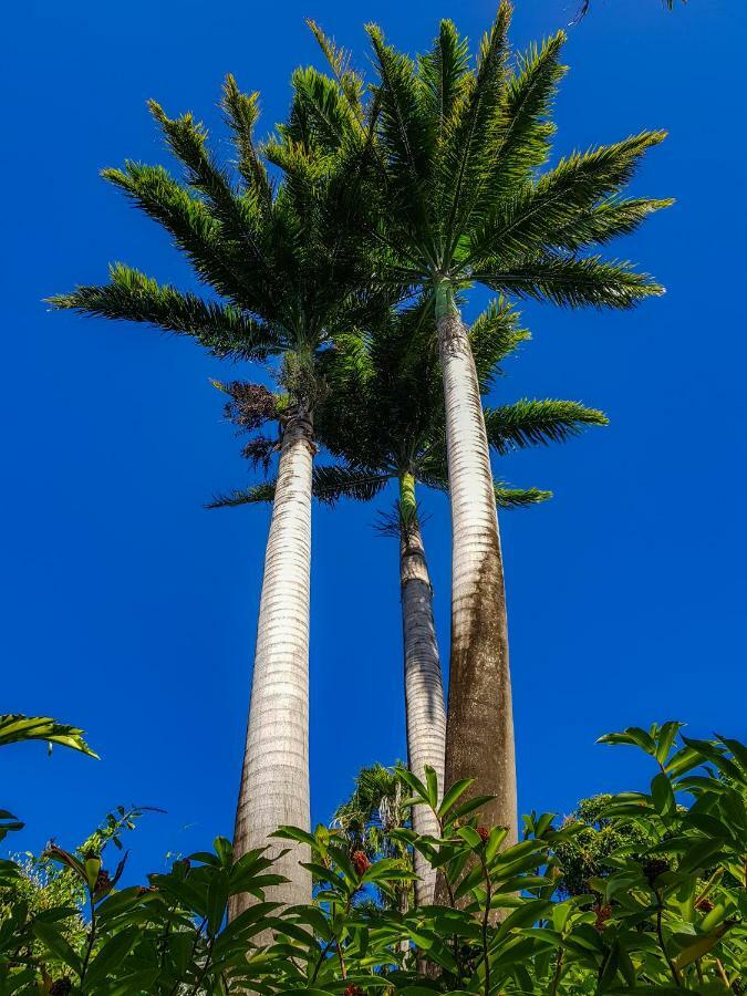 Blue Paradise لو جوسيير المظهر الخارجي الصورة