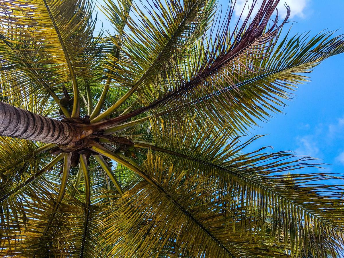 Blue Paradise لو جوسيير المظهر الخارجي الصورة